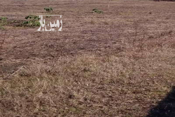 فروش زمین ۳ هکتاری سنددار در روستای فخره-1