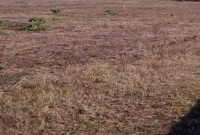 فروش زمین ۳ هکتاری سنددار در روستای فخره