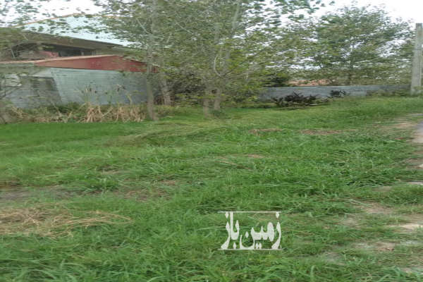 زمین مسکونی ۷۱۲ متر لنگرود روستای سالکویه-4