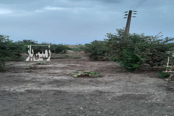 باغ انار در جاده امامده ۵۰۰ متری-1