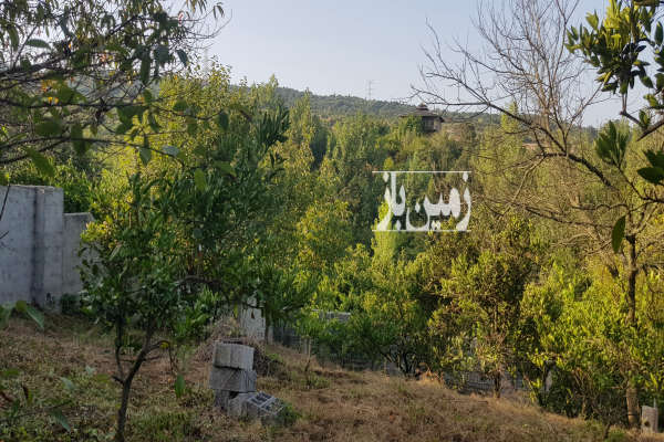 زمین ۵۰۰ متری استثنایی و موقعیت عالی در پایین کولا-4