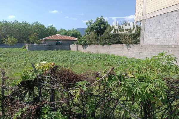 زمین مسکونی در شهر ماسال شاندرمن ۳۵۰ متر-1