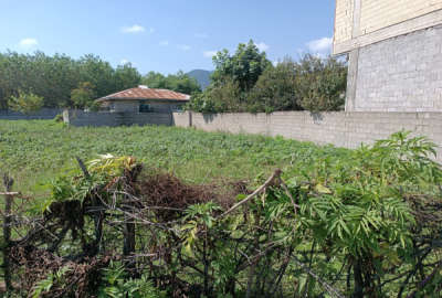 زمین مسکونی در شهر ماسال شاندرمن ۳۵۰ متر