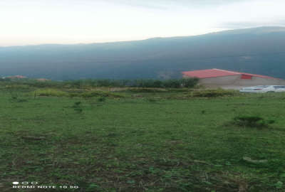 زمین مسکونی در گردنه حیران منطقه توریستی گیلده استارا ۱۳۰۰ متر