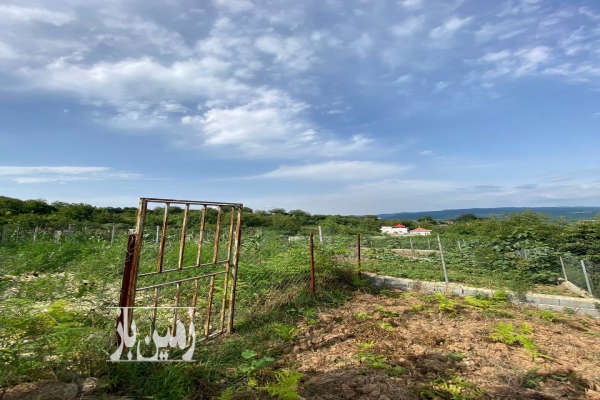 زمین ۵۸۰ متری در ۱۲ کیلومتری ساری روستای بالاهولار-3