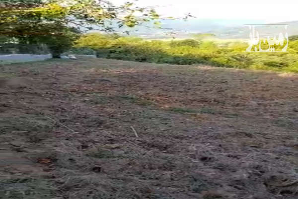 زمین ۵۸۰ متری در ۱۲ کیلومتری ساری روستای بالاهولار-4