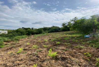 زمین ۵۸۰ متری در ۱۲ کیلومتری ساری روستای بالاهولار