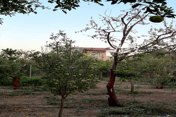 باغ ۵۰۰ متری درمجموعه شهرک لاکچری جابان-2