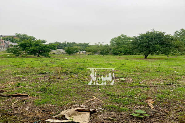 فروش زمین ۲۳۰ متری جاده قدیم امل به بابل روستای کمدره-2