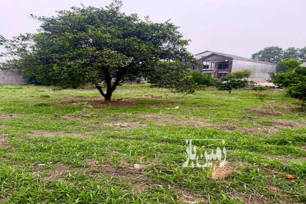 فروش زمین ۲۳۰ متری جاده قدیم امل به بابل روستای کمدره-4