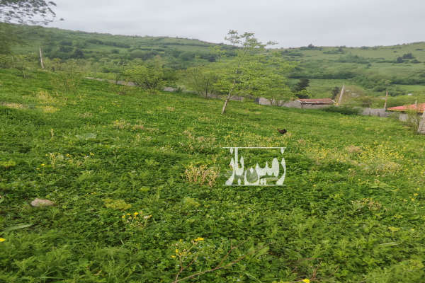 زمین مسکونی ویو زیبا امنیت کامل محیط آرام دنج ۸۰۰ متر-1