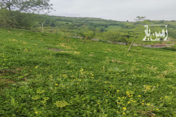 زمین مسکونی ویو زیبا امنیت کامل محیط آرام دنج ۸۰۰ متر-4