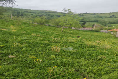 زمین مسکونی ویو زیبا امنیت کامل محیط آرام دنج ۸۰۰ متر