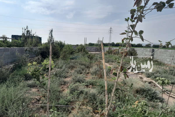 زمین باغچه با کاربری کشاورزی چهار دیواری شده ودارای چاه آب وآلاچیق-2