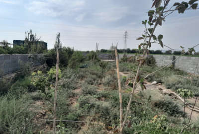زمین باغچه با کاربری کشاورزی چهار دیواری شده ودارای چاه آب وآلاچیق