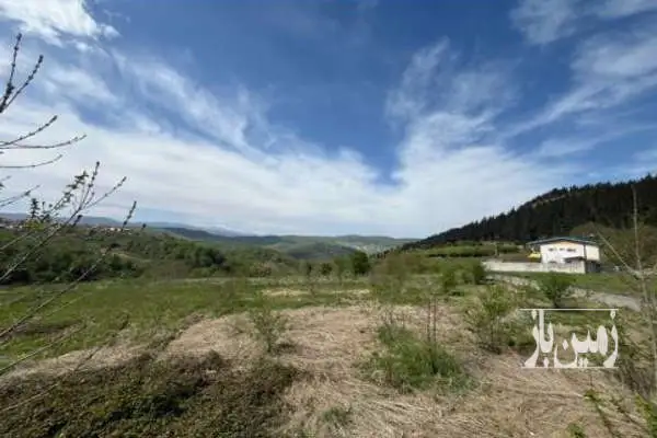 فروش زمین در شمال ۴۵۴ متر زیر آب روستای پیرنعیم - تصویر 2