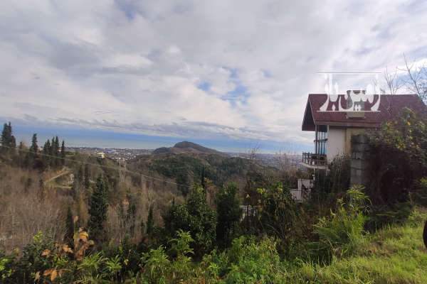 زمین ۶۶۲ متر با چشمانداز عالی دریا و جنگل اربکله گاولیماک-1