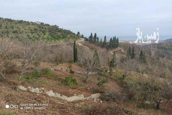 زمین ۶۶۲ متر با چشمانداز عالی دریا و جنگل اربکله گاولیماک-3