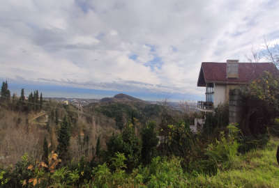 زمین ۶۶۲ متر با چشمانداز عالی دریا و جنگل اربکله گاولیماک