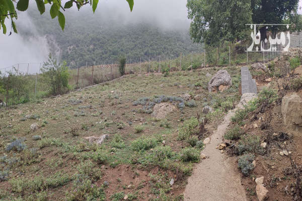 زمین مسکونی در روستای ییلاقی سوادکوه دوآب ۳۰۰ متر-1