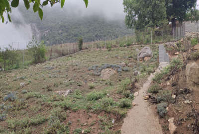 زمین مسکونی در روستای ییلاقی سوادکوه دوآب ۳۰۰ متر