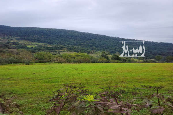 زمین ویلایی جنگلی دارای تمامی مدارک ۲۲۷ متر-1