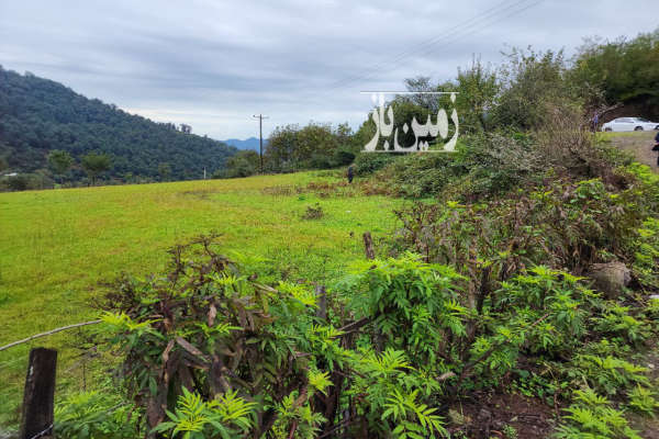 زمین ویلایی جنگلی دارای تمامی مدارک ۲۲۷ متر-4