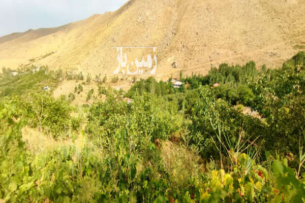 زمین باغی ۳۰۰۰ متری در روستای حیدره بالای شهر-1