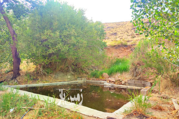 زمین باغی ۳۰۰۰ متری در روستای حیدره بالای شهر-2
