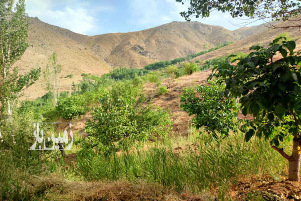 زمین باغی ۳۰۰۰ متری در روستای حیدره بالای شهر-4