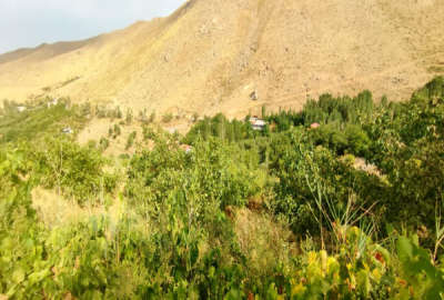 زمین باغی ۳۰۰۰ متری در روستای حیدره بالای شهر