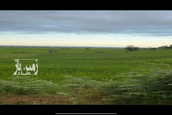 زمین مزروعی با امکان کاشت کیوی موقعیت عالی روستای هره دشت جنوبی-2
