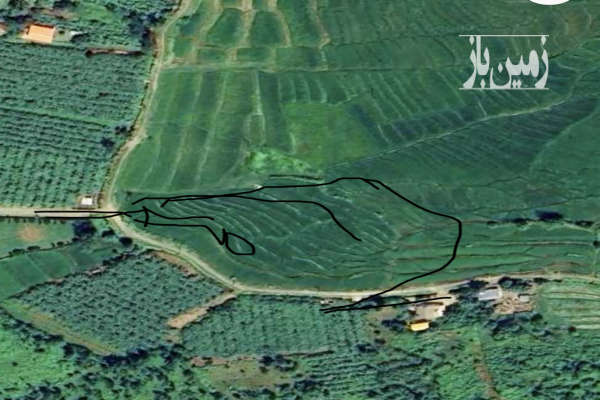 زمین مزروعی با امکان کاشت کیوی موقعیت عالی روستای هره دشت جنوبی-3