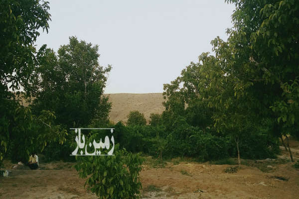 زمین کشاورزی ب متراژ ۳۲ هکتار با امکانات-1