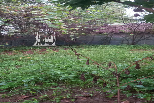 زمین مسکونی ۱۵۰متری روستای ویشکاننک سنگر-1