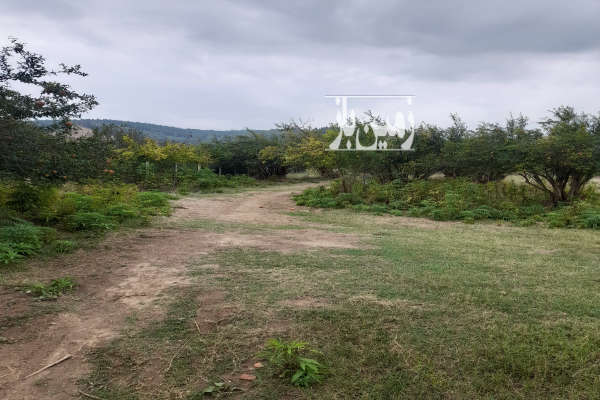 فروش زمین ۷۰۰ متری در کوهستان بهشهر-1