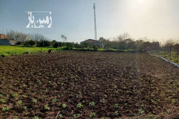 فروش زمین کشاورزی در میاندورود روستای لالیم ۶۰۰ متر-1