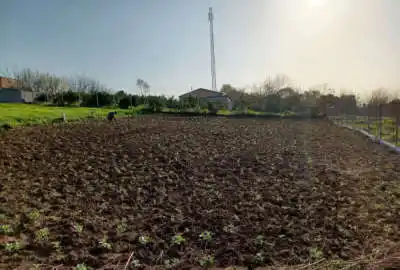 فروش زمین کشاورزی در میاندورود روستای لالیم ۶۰۰ متر