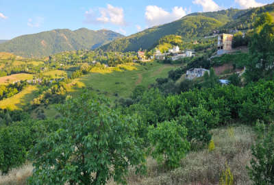 زمین باغی متراژ ۲۷۹۰ در روستای ویشان شهرستان رودبار