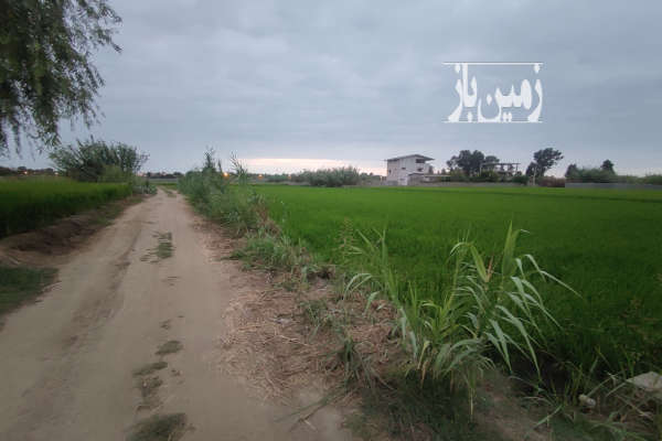 زمین ۱۵۰ متر ساحلی چسب دریا بافت باغی-3