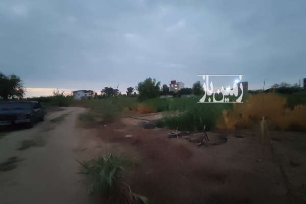 زمین ۱۵۰ متر ساحلی چسب دریا بافت باغی-4