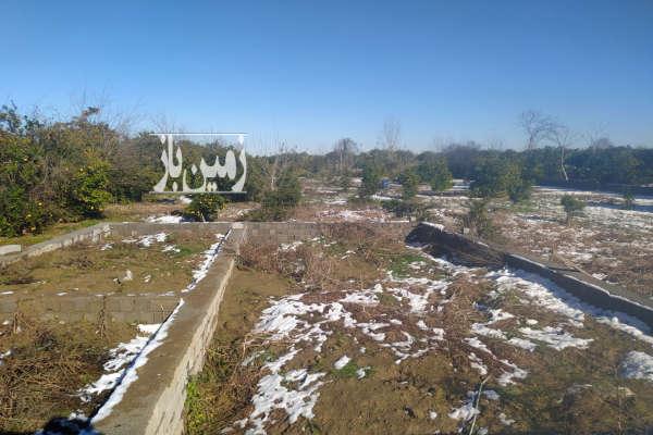 زمین مسکونی متراژ ۶۰۰ متر در روستای نقیب کلا-1