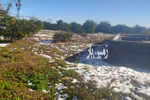 زمین مسکونی متراژ ۶۰۰ متر در روستای نقیب کلا-2