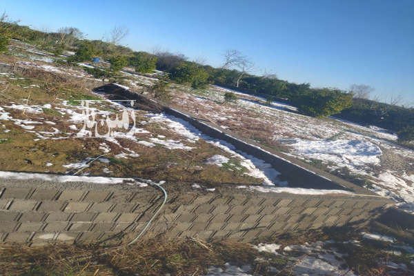 زمین مسکونی متراژ ۶۰۰ متر در روستای نقیب کلا-4