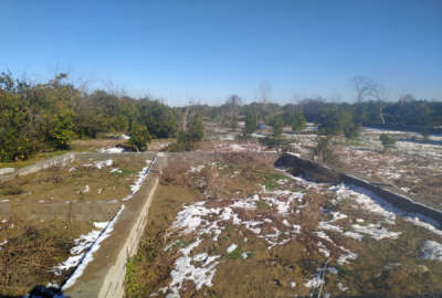 زمین مسکونی متراژ ۶۰۰ متر در روستای نقیب کلا