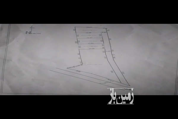 فروش باغ تامسون ۲۰ ساله روستای میرودپشت-3