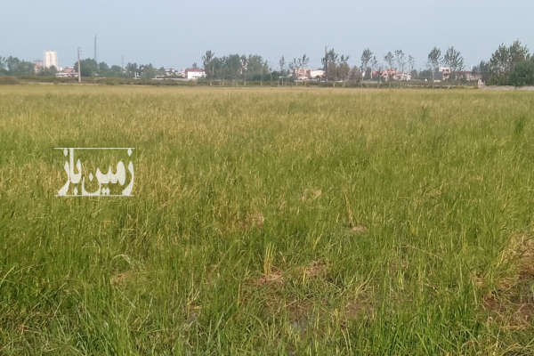 زمین کشاورزی ۳۰۰۰ متر در حربده محموداباد-1