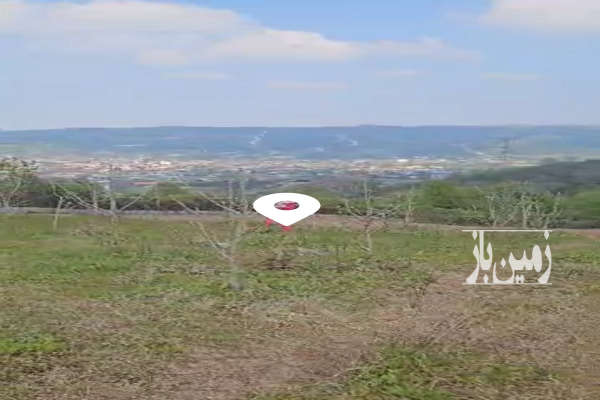 زمین باغی با ویو بی نظیر ۴۵۰۰ متر روستای ریکنده-2