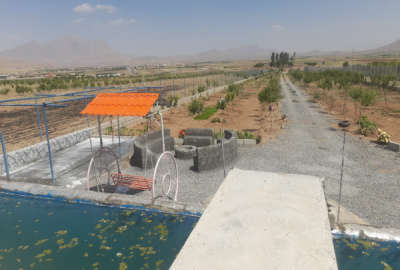 باغ استخردار با اب قنات قطره ای متراژ ۱۳۰۰۰روستای حصور