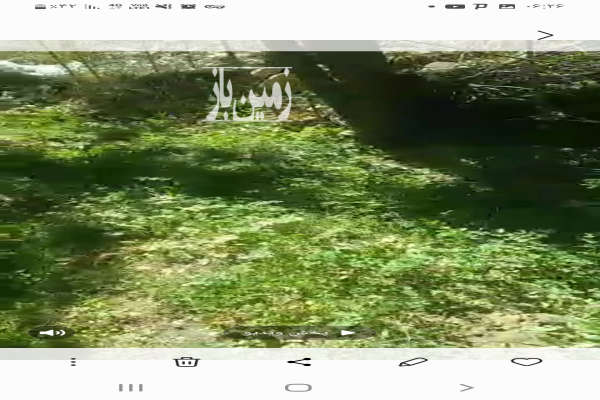 باغ بعد از ارجمند بین جاده اهنز به لزور ۱۷۰۰ متر دارای انواع درختان-2